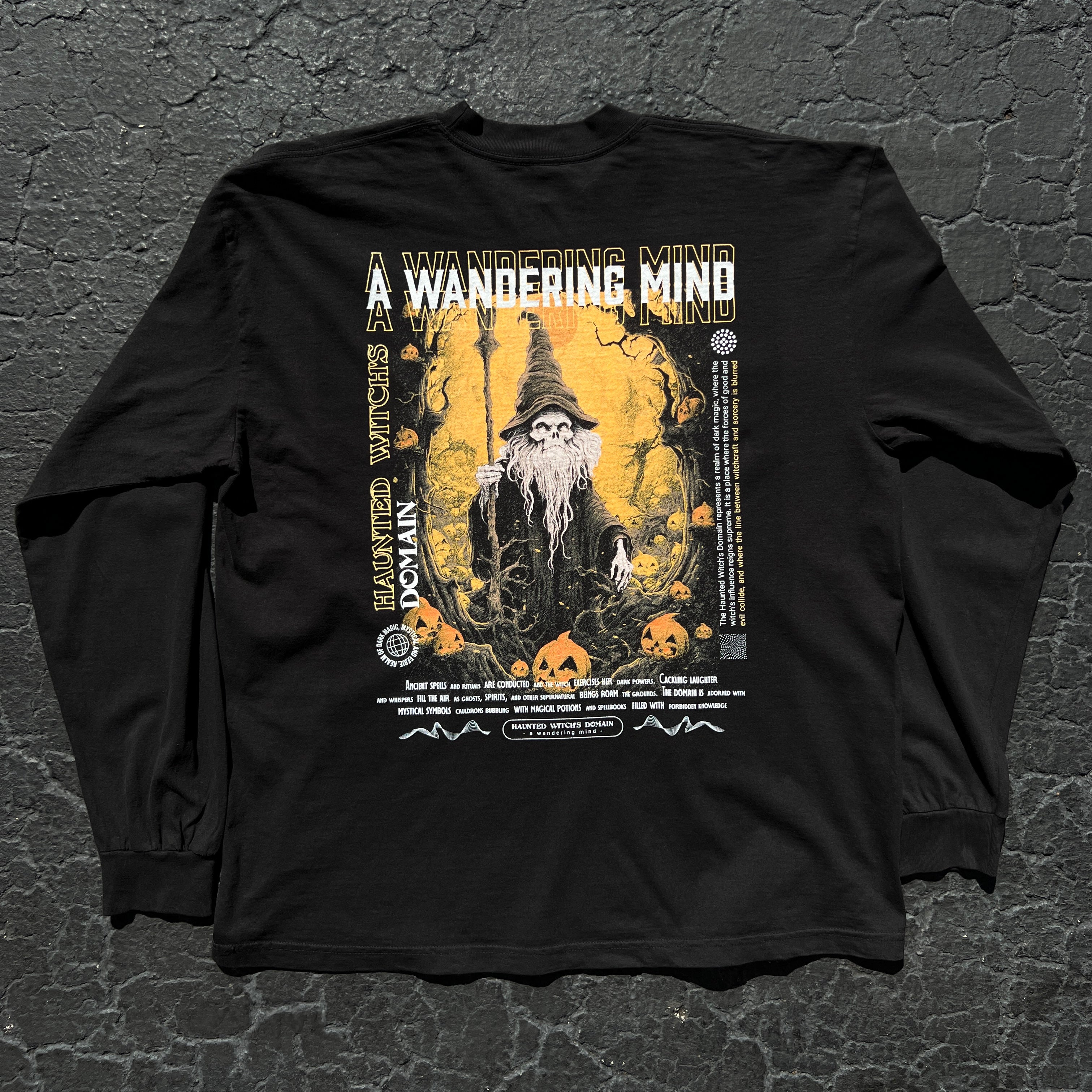 Haunted Witch's Domain L/S Tee