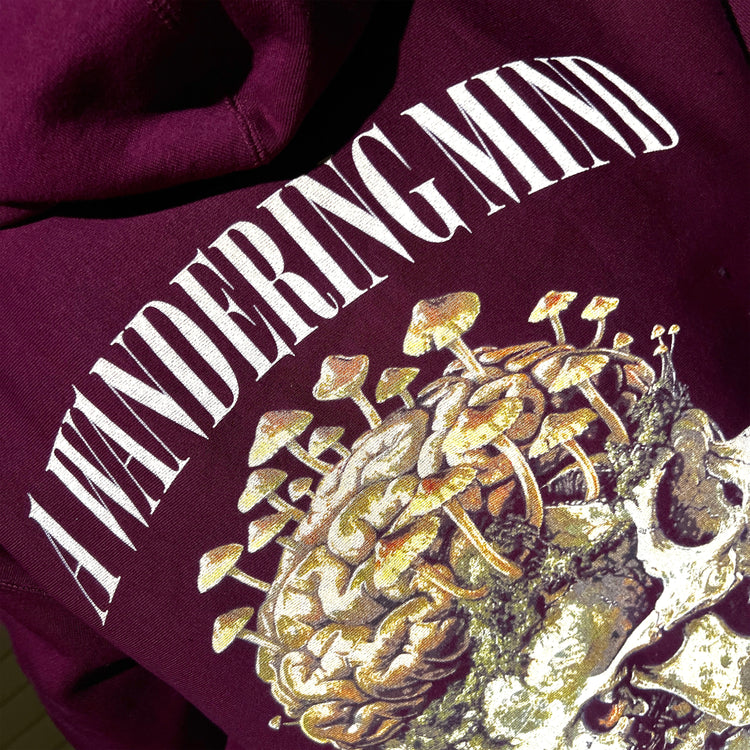 Rebirth Hoodie (Maroon)