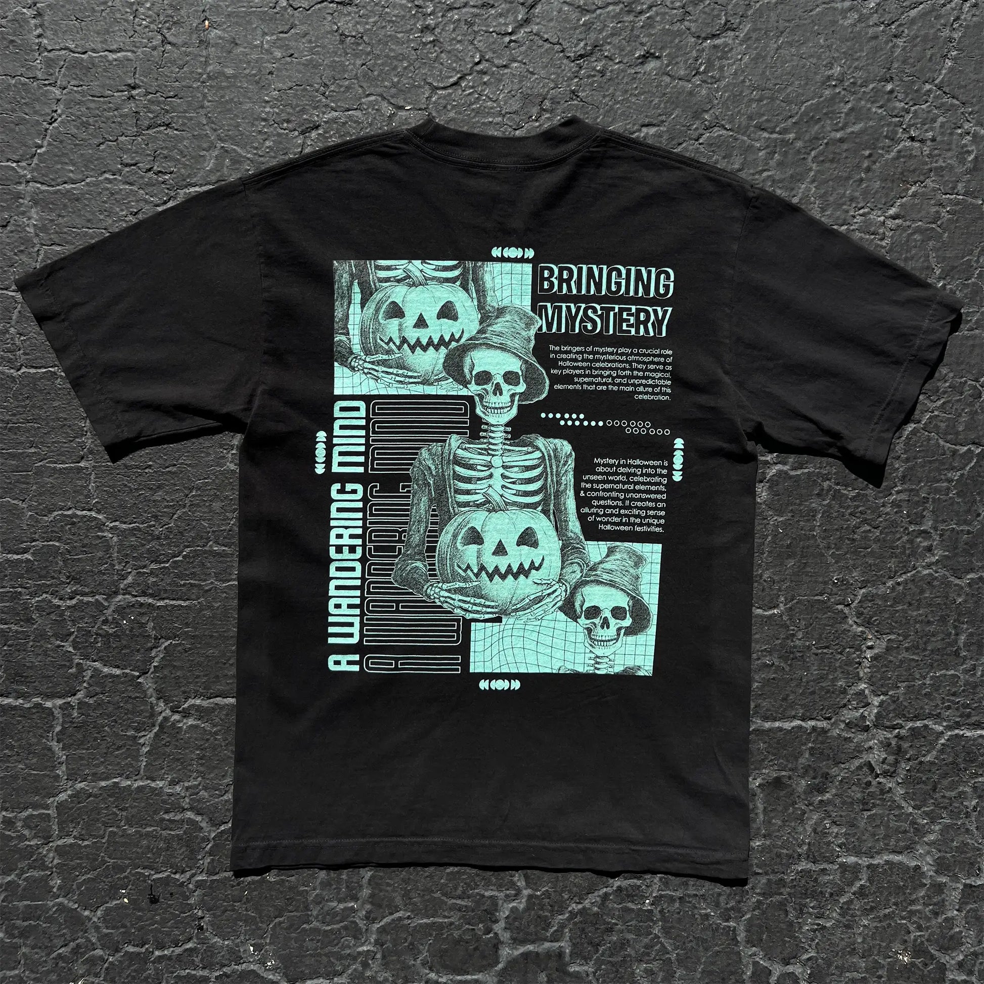 A Wandering Mind Bringing Mystery t-shirt in black back view