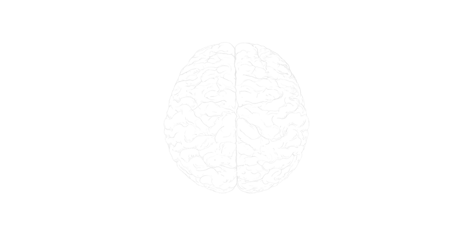 A Wandering Mind hero brain