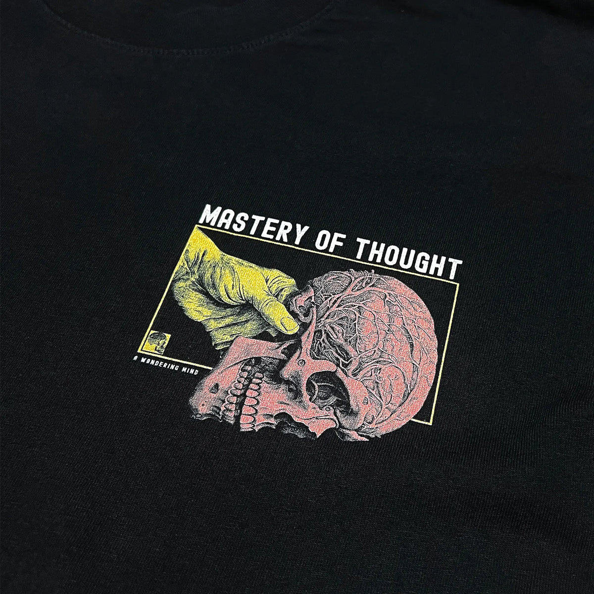 A Wandering Mind Mastery of Thought long sleeve t-shirt in black front graphic detail showing hand holding skull, exposed brain