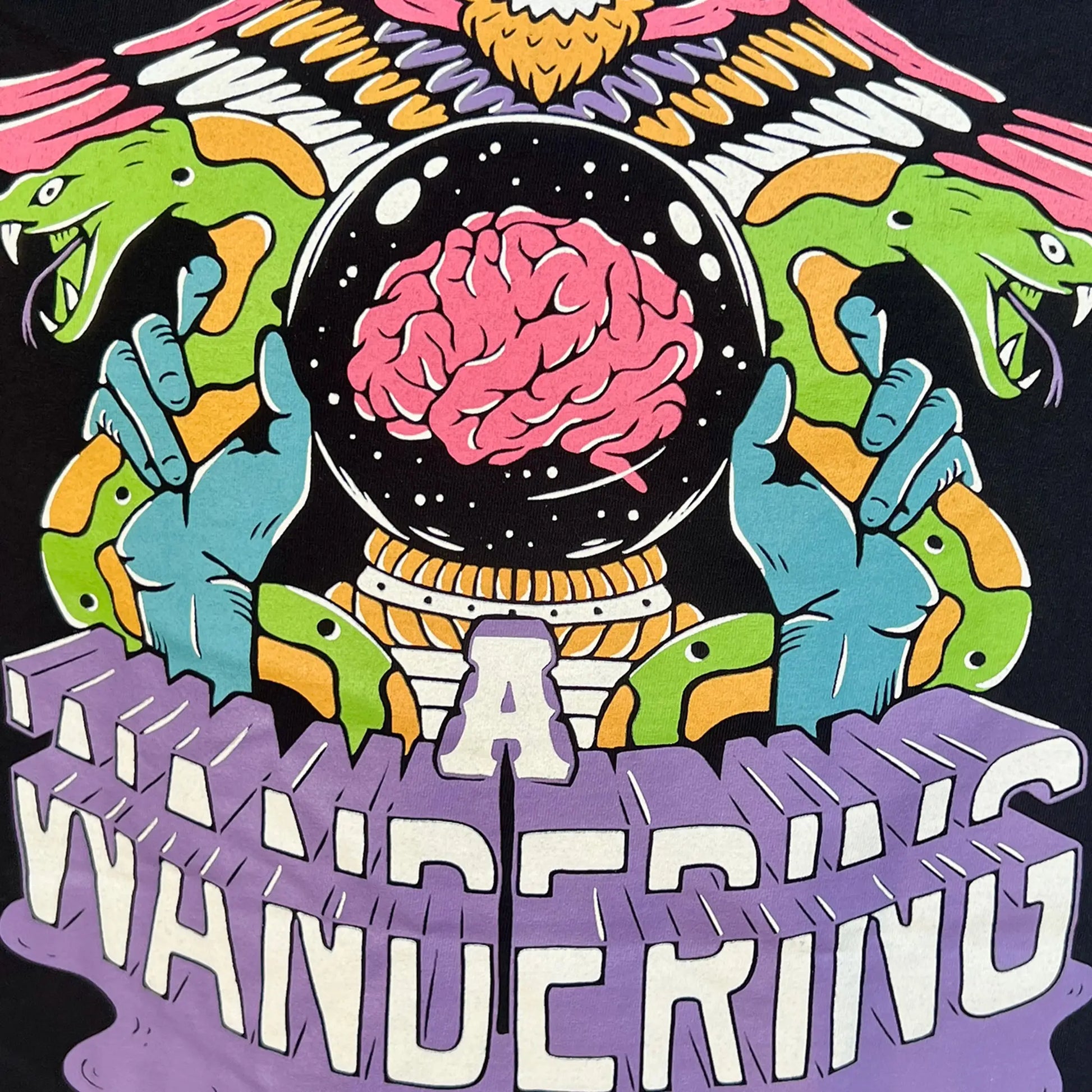 A Wandering Mind The Mystic t-shirt in black back graphic detail showing crystal ball, exposed brain, serpent